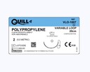 Quill Polypropylene Barbed clear 8" (20cm) CT-1 Taper, Unidirectional