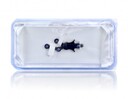 NuVasive Rod Bending Digitizer Array