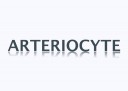 Isto Biologics Arteriocyte Magellan Platelet Separation Chamber