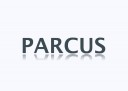 Parcus 4.5mm Twist PEEK SST, Suture Anchor, Screw-In, 2.0mm Static Suture Tape (Blue)