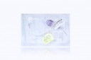 Braun Surecan Safety II Port Access Needle Set w/Caresite Y Injection Site 20G x 0.6" (15mm)