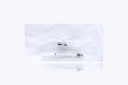 Argon Galactography Kit 30G w/Curved Cannula