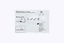 Ambu aScope 4 Cysto Flexible Endoscope, Standard Deflection
