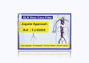 ALN Optional Vena Cava Filter w/Hook & Introducer System, 32mm x 59mm, 7F x 60cm, Jugular (No Box)