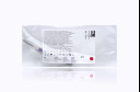 AirLife Salter Labs Intubrite Disposable Laryngoscope Blade, Child, Miller 2